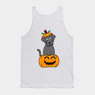 Cute Big Dog is in a pumpkin Tank Top